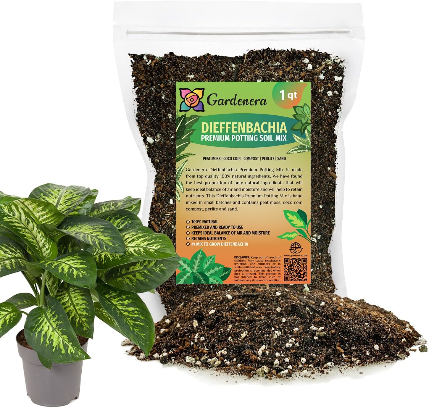 Dieffenbachia Reflector