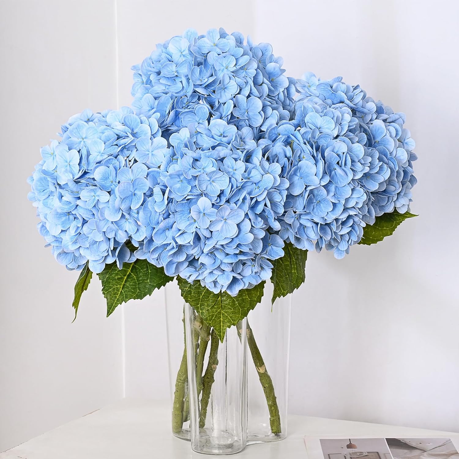 Blue Hydrangea