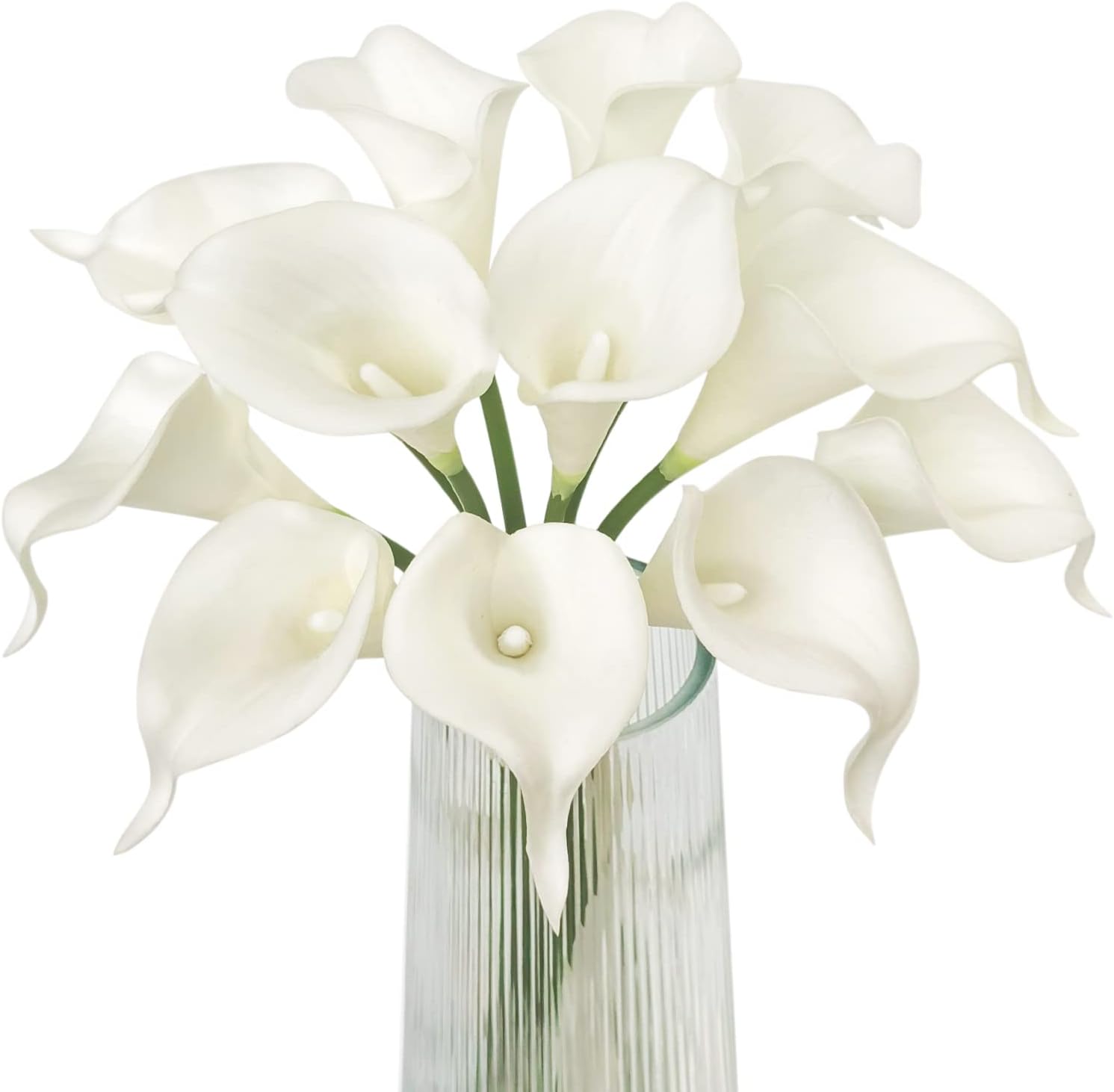 Calla Lily